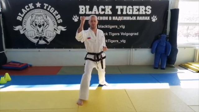 Программа аттестации на зеленый пояс смотреть онлайн