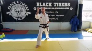 Программа аттестации на зеленый пояс