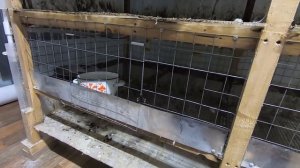 БРОЙЛЕР - ПАДЕЖ. СВС и ВОДЯНКА