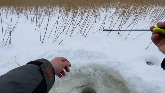 Рыбалка на льду . Озеро Харку смотреть онлайн