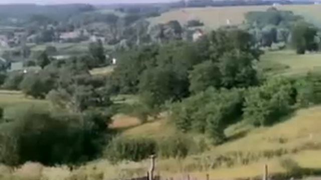 Музычи, участок 9сот смотреть онлайн