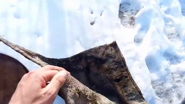 Рыба горячего копчения ПАЛЬЧИКИ оближешь. Рецепт. Всё по простому.Копчение в бочке