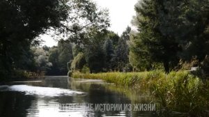 МОЯ ЖЕНА СОГЛАСИЛАСЬ НА ТРОЙНИК. Жизненные истории и аудио рассказы