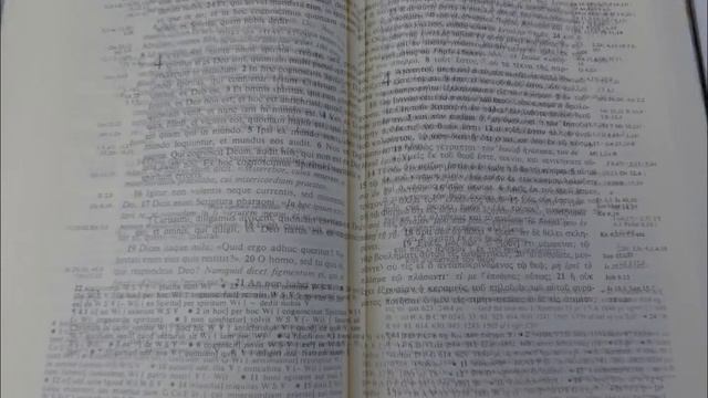 Greek - Latin Bilingual New Testament - Green Leather Bound смотреть онлайн