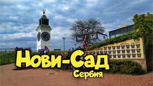 25000 шагов по Нови-Саду (Сербия)