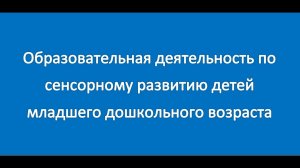 Образовательная деятельность по сенсорному развитию детей младшего дошкольного возраста