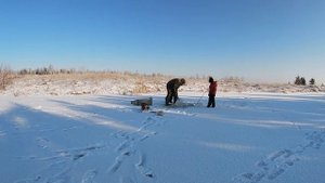 Как поймать живца Гальяна  Зимой (Корчага против 5л бутылки)