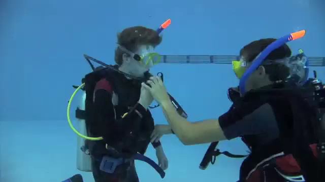 Petra Holidays bring you Atlantis Hotel The Palm Dubai смотреть онлайн