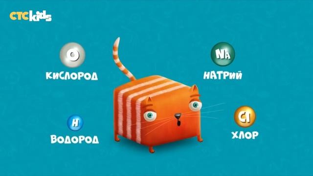 кубокотики. кубокот игрушка. развлечёба и кот кубокот окружающий мир. кубо кот. стс kids телеканал.