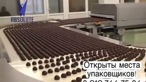 Работа вахтой, объект шоколадная фабрика, город Подольск