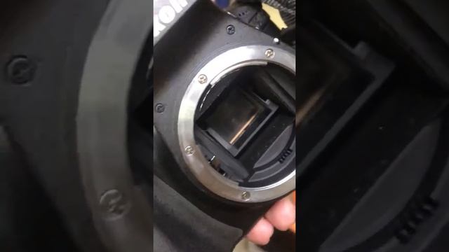 Видеокамера Nikon d3400 смотреть онлайн