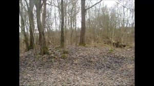 Не много копа и Белая Кирха. д.Молосковицы.