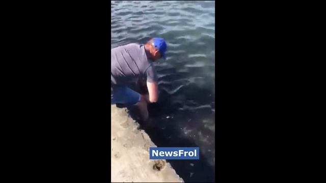 Рыбаки в Новороссийске поймали на спиннинг дельфинёнка смотреть онлайн