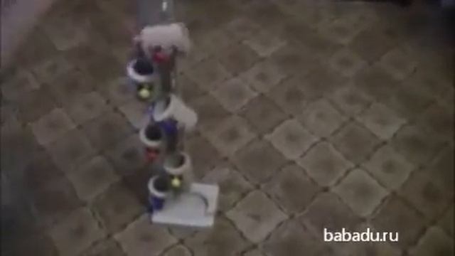 Ведрышки Мир Деревянной Игрушки смотреть онлайн