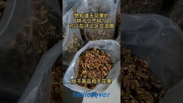 Commercial Type Food Fruit Heat Pump Drying dehydrator Machine Heat Pump Dryer for Fig Mango Fruit