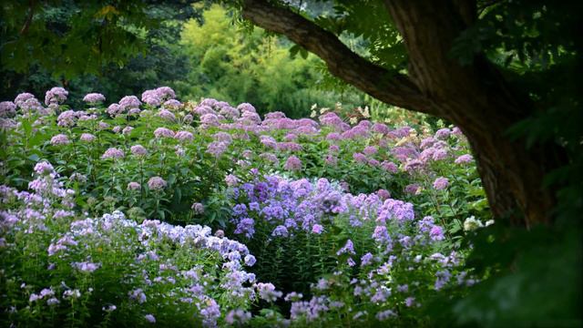 Flowers and Music-Floral park-Цветочный парк
