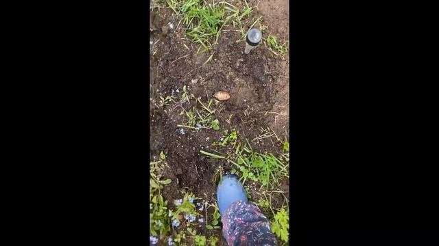 Актриса Елена Валюшкина показала свой огород