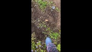 Актриса Елена Валюшкина показала свой огород