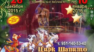 цирк шапито в Белгороде