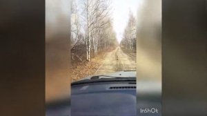 Путешествие на Тойота Ками по пригороду Хабаровска