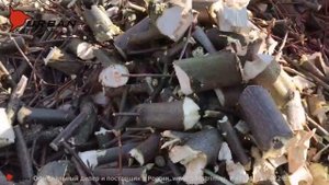 Мобильный измельчитель древесины URBAN SMH 110 и SMH 70