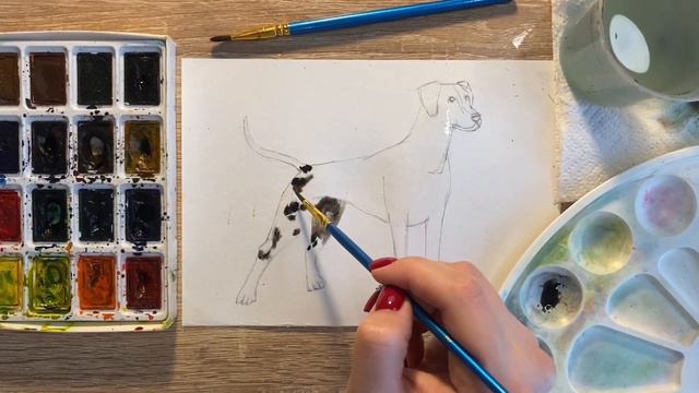 Как нарисовать далматинца карандашом и акварелью начинающим | Рисунок для детей смотреть онлайн