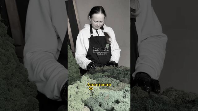 Почему ECO-STORE особенный?🌿