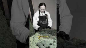 Почему ECO-STORE особенный?🌿