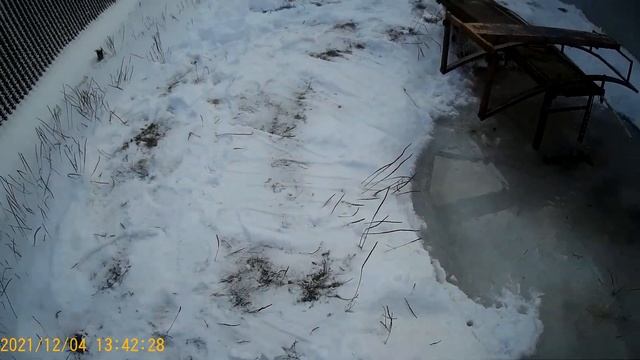 Зима пришла или на даче весело. смотреть онлайн