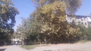 Фергана сегодня             Киргили        от базара ул. Тургенева  ( Янги Аср ) 25 и 23 е дома