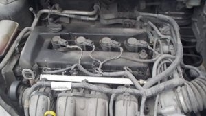 Двигатель Ford для Focus II 2008-2011