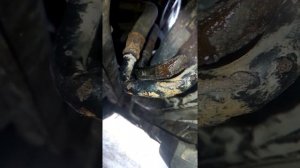 W203 M271 трубка охлаждения масла АКПП лопнула