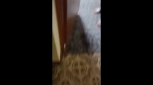 Репортаж об общежитие ГИТИСа на канале ExpertSadykova