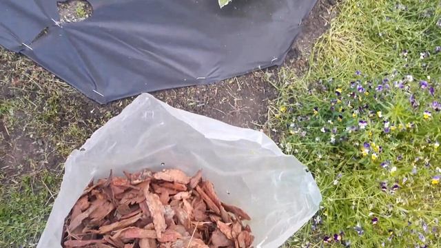 Не будет сорняков - сделай как я! Сама без мужа сделала за 1 час красивый цветник без сорняков смотреть онлайн