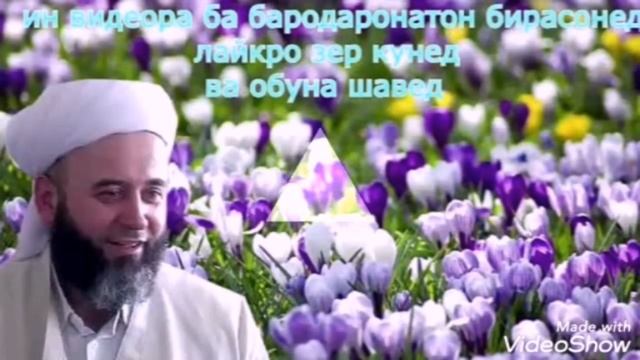 Шери мавлави чунуни. Хочи юсуф. Бачаи зан доро. Мавлавии бохтари. Картинка мавлави бохтари.