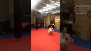 Блоки, удары руками и ногами — основные приемы каратэ !