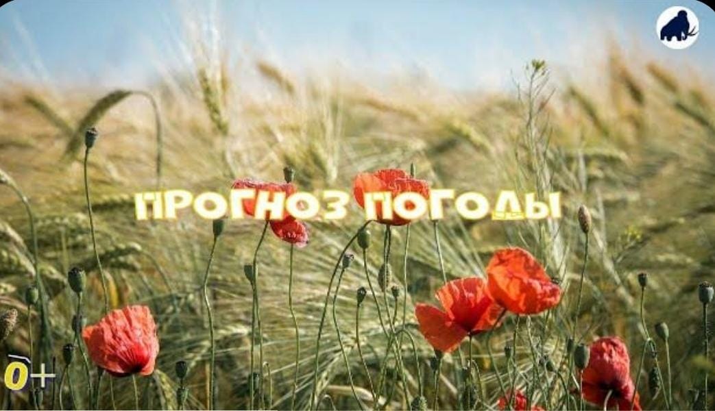 ПРОГНОЗ ПОГОДЫ на 19 августа 2023 года