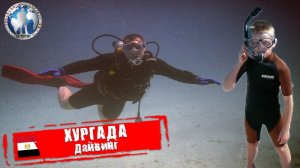 Хургада 🇪🇬 Египет. Дайвинг. Красное море 💯Алекс Авантюрист