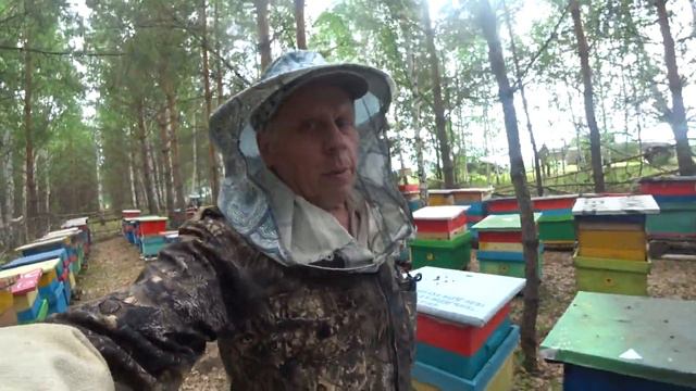 КОГДА МЫ НАЧИНАЕМ СТАВИТЬ ТРЕТЬИ МАГАЗИНЫ, ЧТОБ НЕ УПУСТИТЬ МЁД И УЙТИ ОТ РОЕНИЯ. смотреть онлайн