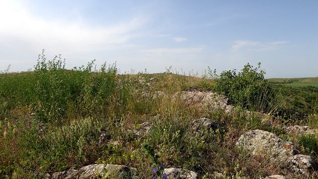 Благодатное