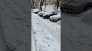 Снег, снежок / г. Москва, Бирюлево Восточное, 17.02.2021