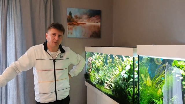 Проблема с нитратами и водорослями. Аквариум большого объёма 250×60×50 на 750 литров. Часть 40 смотреть онлайн