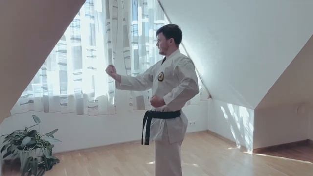 Каратэ для начинающих. Тренировки дома. Блок сото-уке.(Soto-uke)