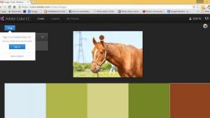 How to Create Color Schemes and Palettes from Image