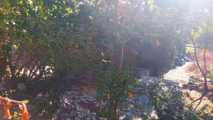 Заброшенный санаторий в Ялте