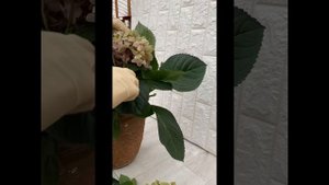 Зимовка крупнолистной гортензии в средней полосе России