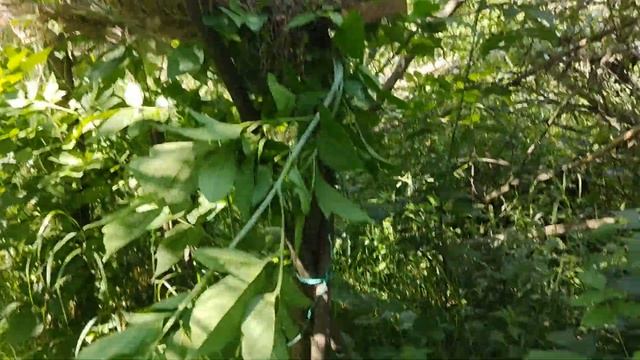 Искусственные гнезда для уток. Проверил заселился ли в них кто-нибудь. смотреть онлайн