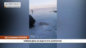КЛЁВЫЙ ДЕНЬ НА ЛЬДУ В УСТЬ-КАМЧАТСКЕ • БЕЗ КОММЕНТАРИЕВ