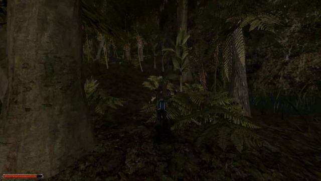 Готика 2 Одиссея 2.0 Прохождение Часть 119 Яркендарские болота=) смотреть онлайн