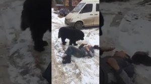 Кабель нашёл свою сучку:)
